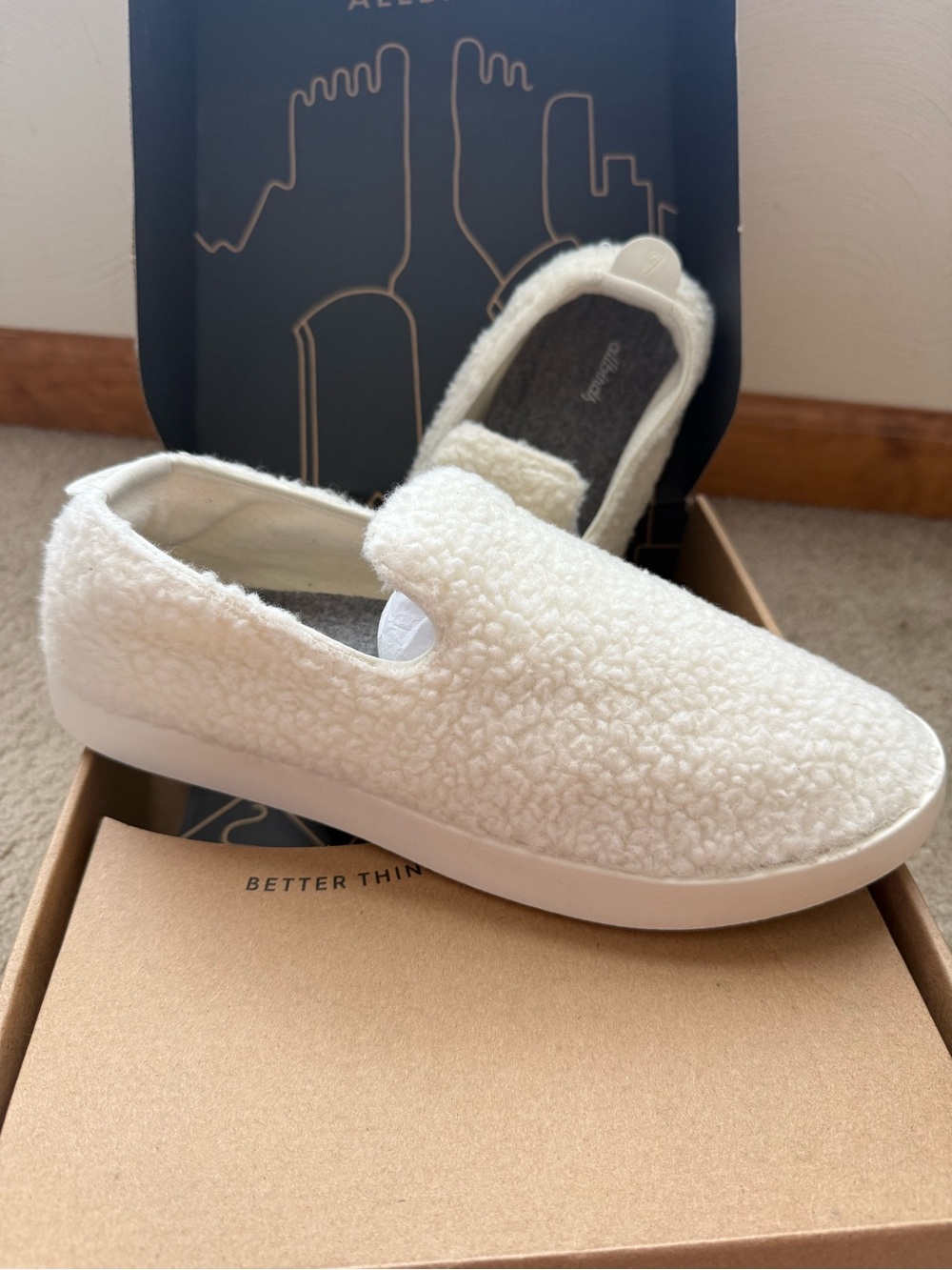 Allbirds Men’s Wool Lounger Fluff